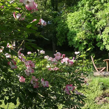 Le Coin Des Artistes Bed & Breakfast Giverny